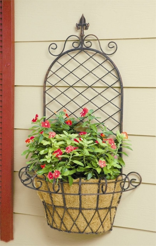 Luverne Steel Wall Planter with Trellis