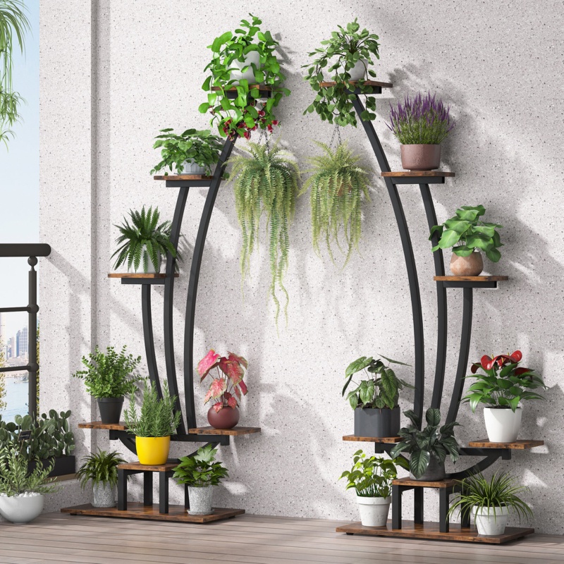 Unique Curved 6-Tier Plant Stand