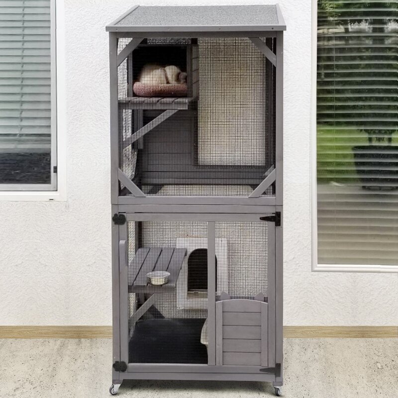 Modern Indoor Cat Enclosure