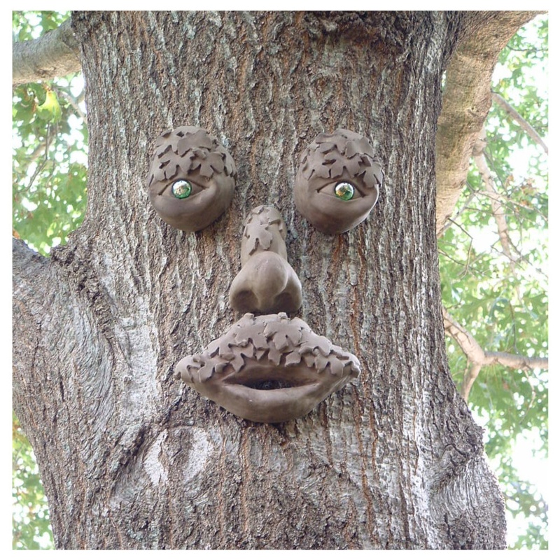 Mr. Mapleshade Tree Face