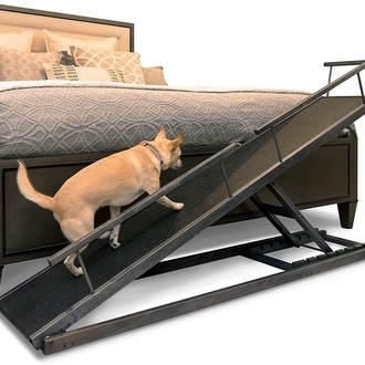 Designer Dog Beds For Large Dogs - Foter