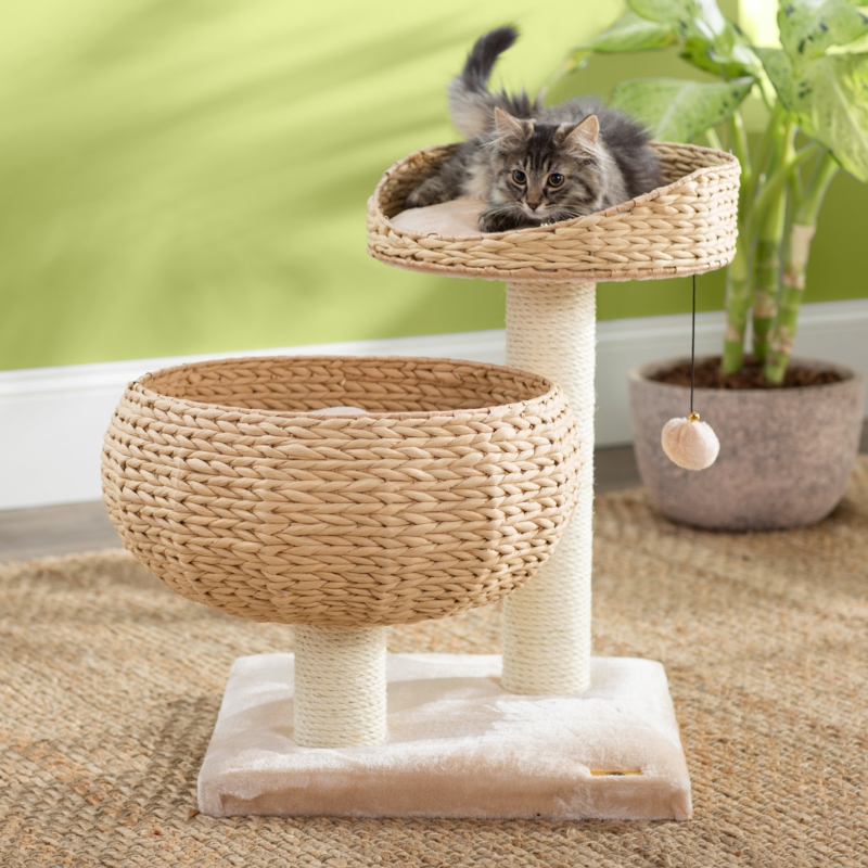 23" Nolette Beige Cat Tree with Lounge