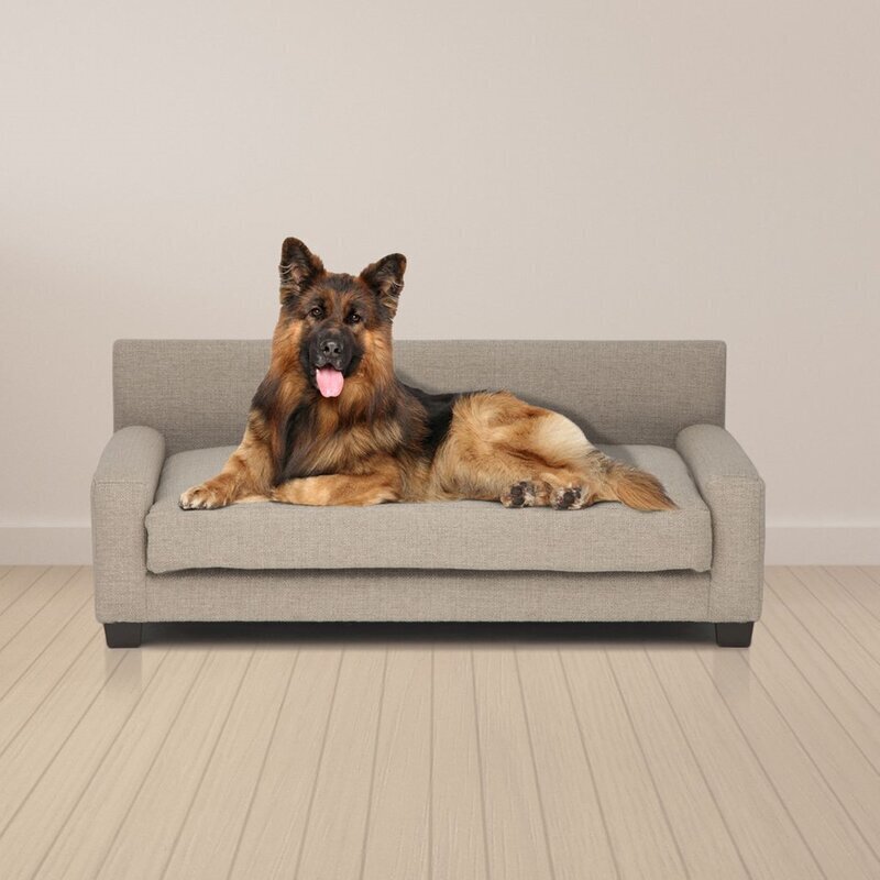 Oatmeal Colored Dog Bed With Headboard