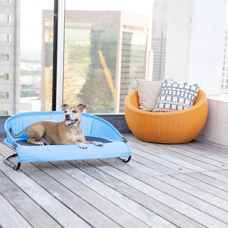 Luxury Outdoor Canine Furniture : dog lounge