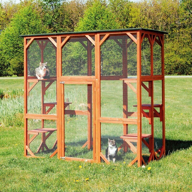 Open air large outdoor cat enclosures