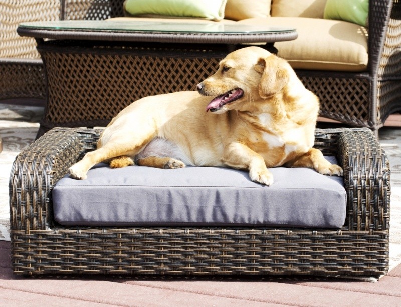 Pastrana Rattan Dog Sofa