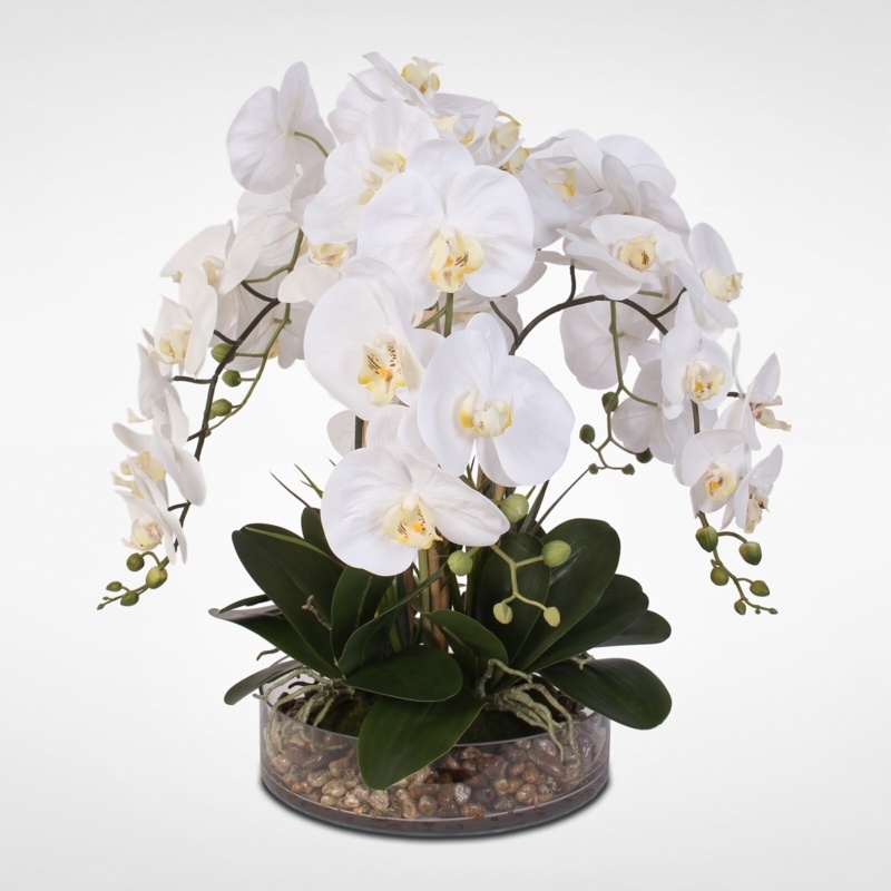 Phalaenopsis Orchid and Vanilla Grass Bush Floral Arrangement in Vase ...