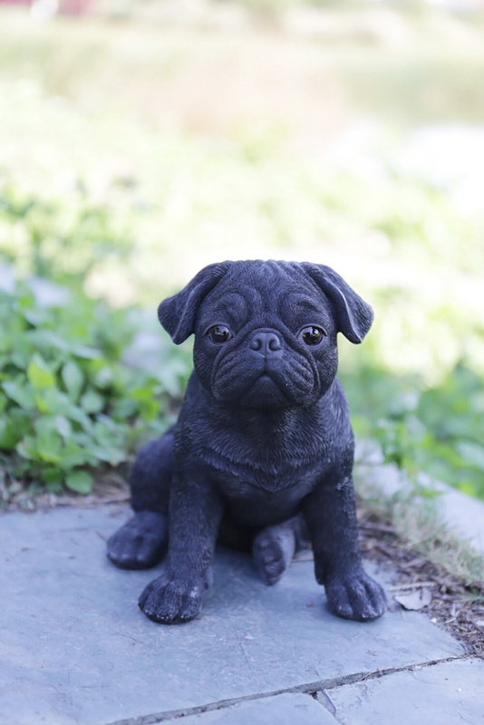 Pug Puppy Statue