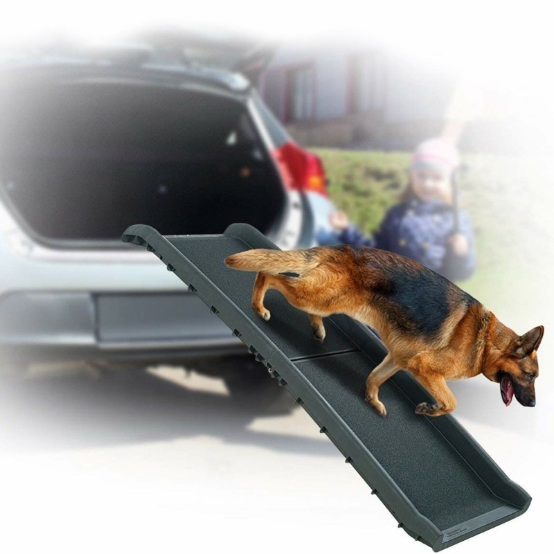 Radcliffe Large Folding 62" Pet Ramp