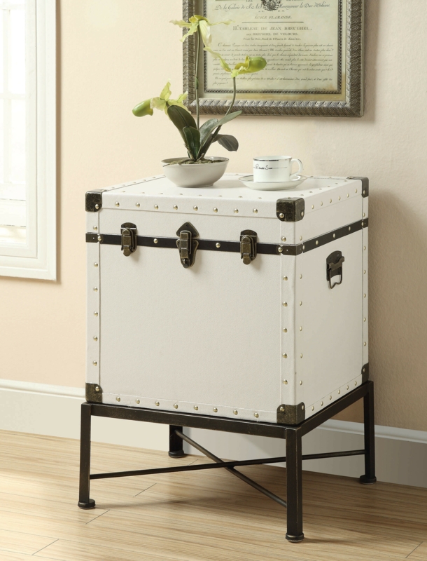 Modern Trunk Style Accent Cabinet