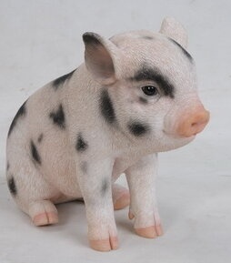 Sitting Baby Pig Statue