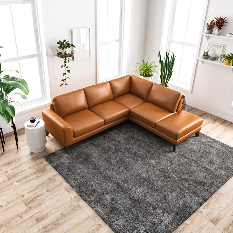 Small Simple Leather Couch