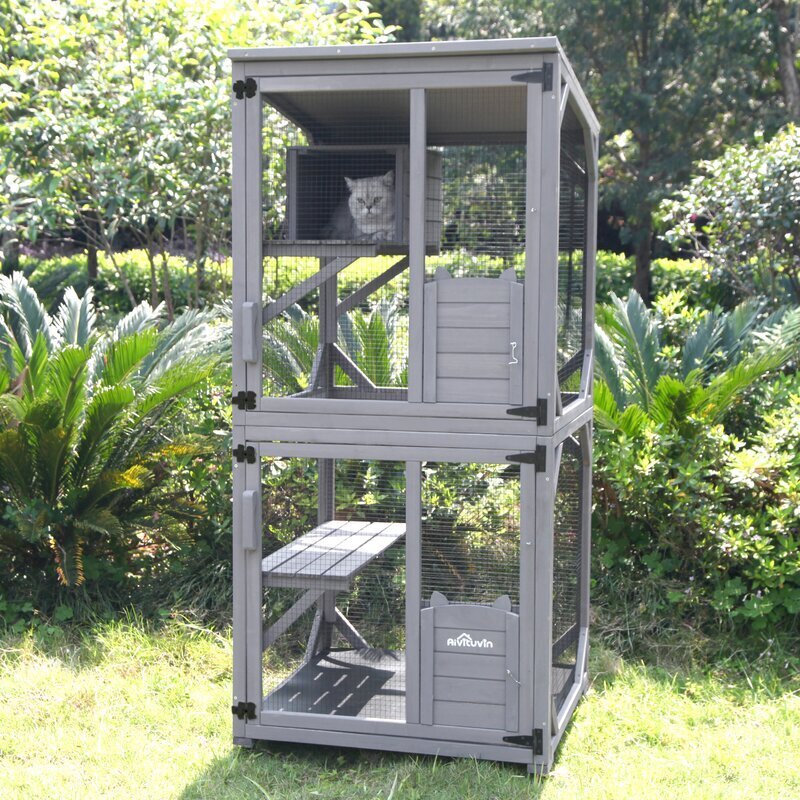 Spacious vertical cat cage outdoor