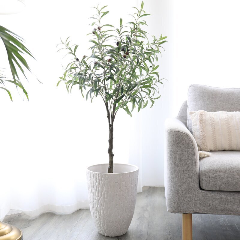 Tall Indoor Planters - Foter