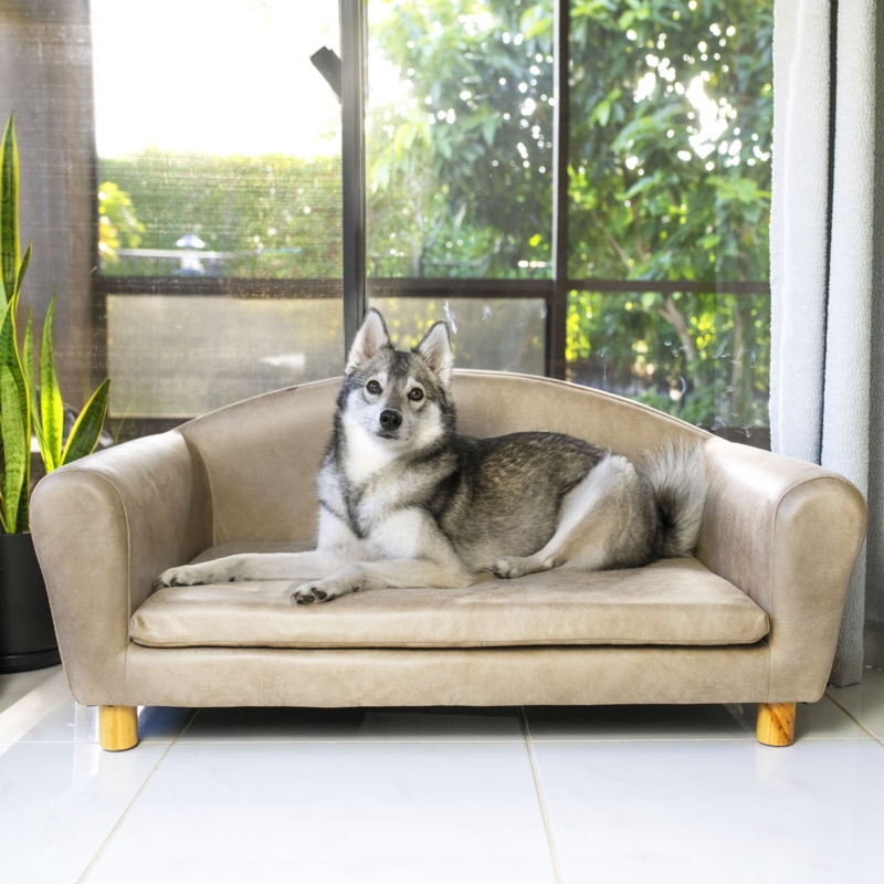 Leather Pet Couch