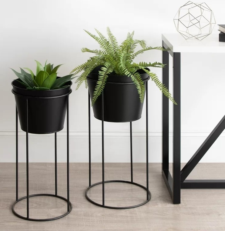 Two Black Tall Indoor Planters