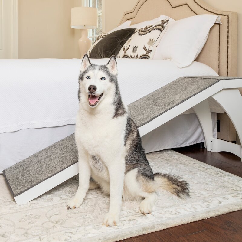 White dog ramp for high bed