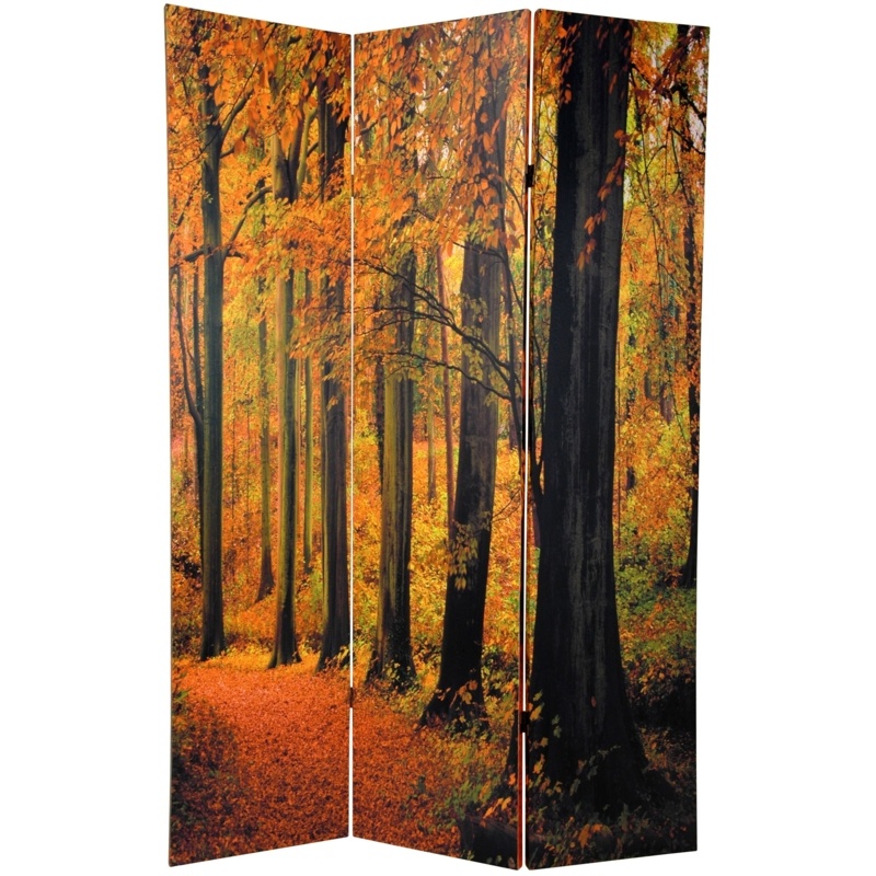 Woolery 47.25'' W x 70.88'' H 3 - Panel Solid Wood Folding Room Divider