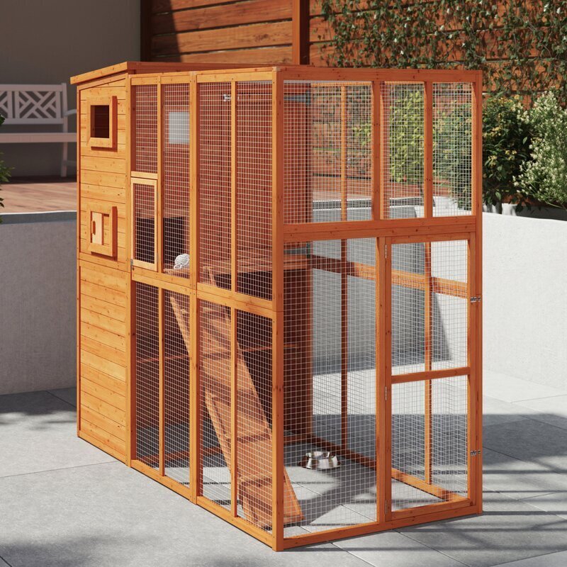 Year round outside cat enclosure