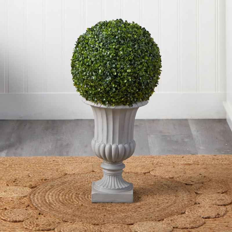 Boxwood Topiary in Gray Urn