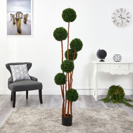 Topiary Trees For Sale - Ideas on Foter