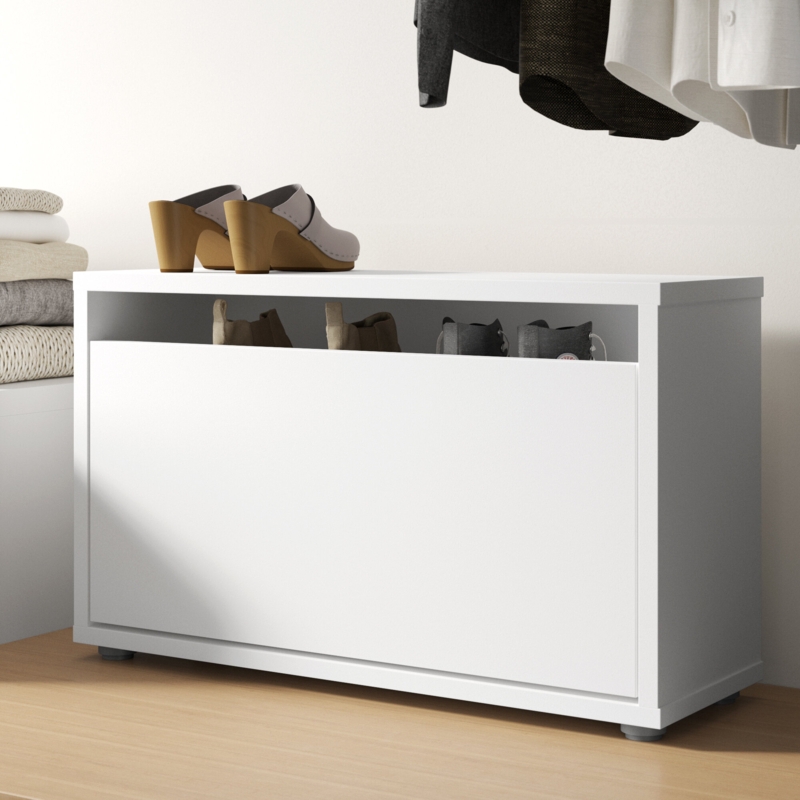 Compact Shoe Storage Cabinet