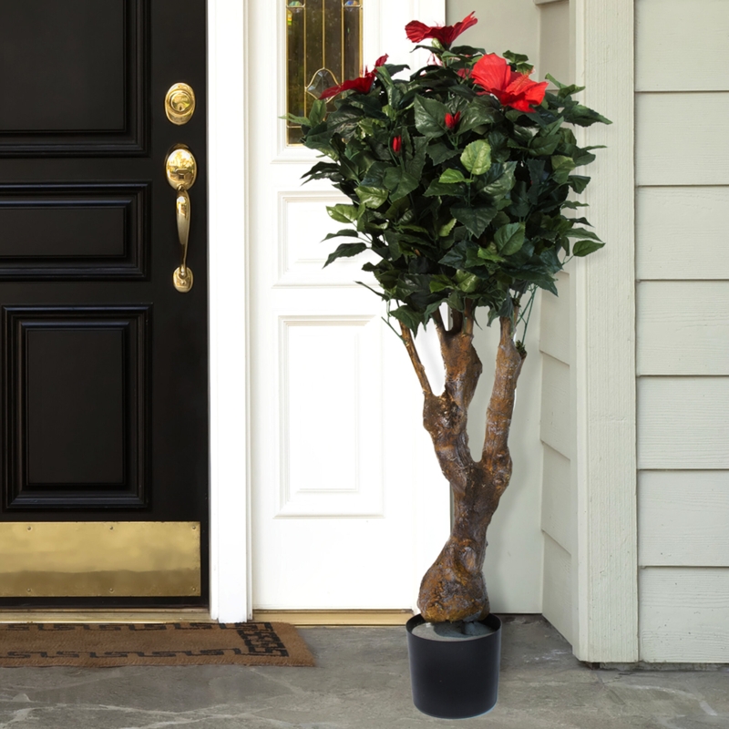 Hibiscus Tree with Flowers