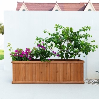 Extra large Indoor Planters for Trees - Foter