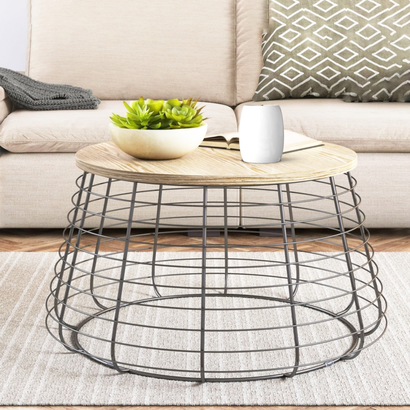 Trimied Modern Coffee Table with Storage in Black Center Table with  Stainless Steel Base