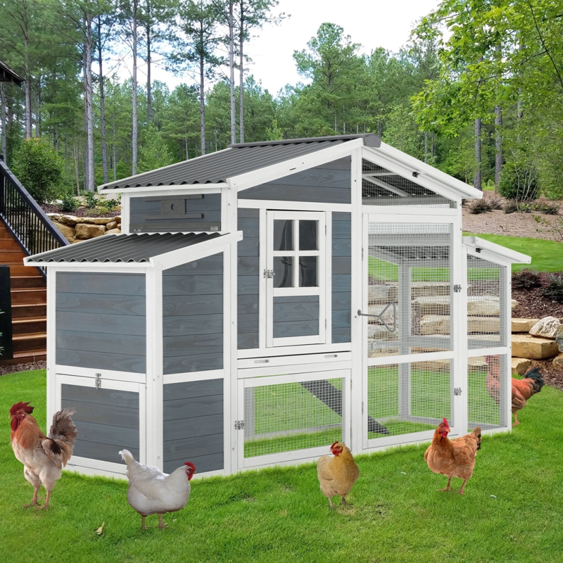 Fancy Wooden Chicken Coop with Large Nesting Box
