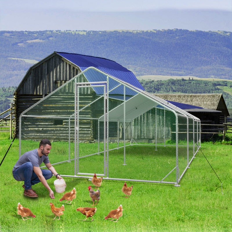 Metal Chicken Coop with Cover