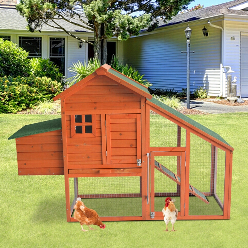 Premium Fir Wood Outdoor Chicken Coop