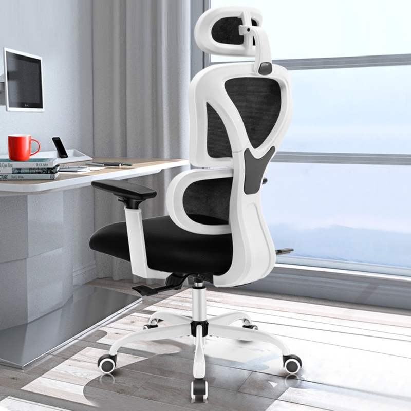 Ergonomic Chair with Y-Shaped Lumbar Support