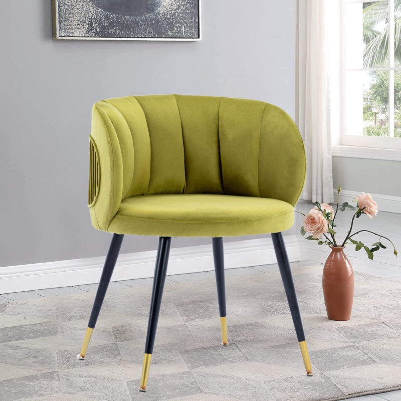 Modern Elegant & Exquisite Accent Chair