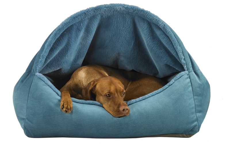 Cozy Canopy Dog Scoop Bed