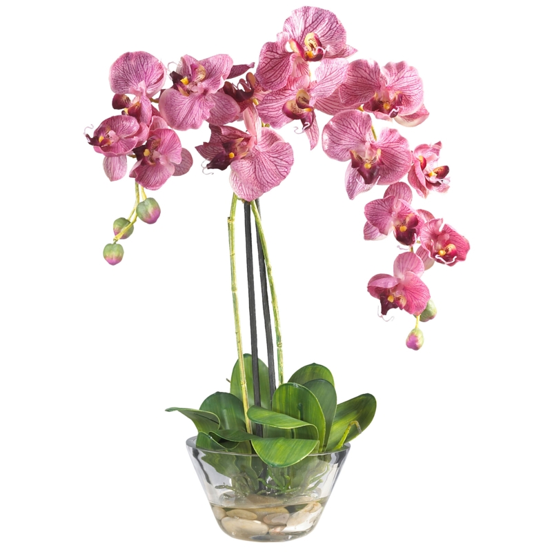 Blooming Orchids and Lush Foliage Arrangement
