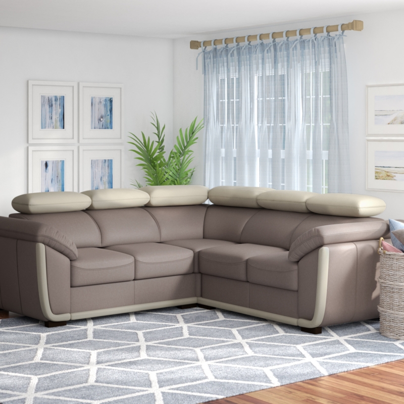 Convertible Sleeper Sectional Sofa with Storage