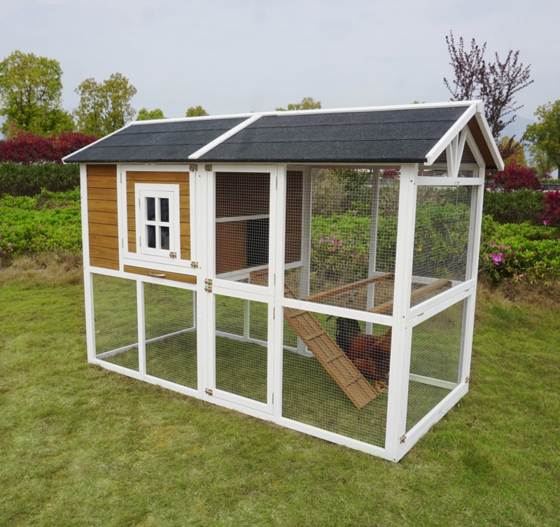Farm-Styled Chicken Coop for 8 Chickens