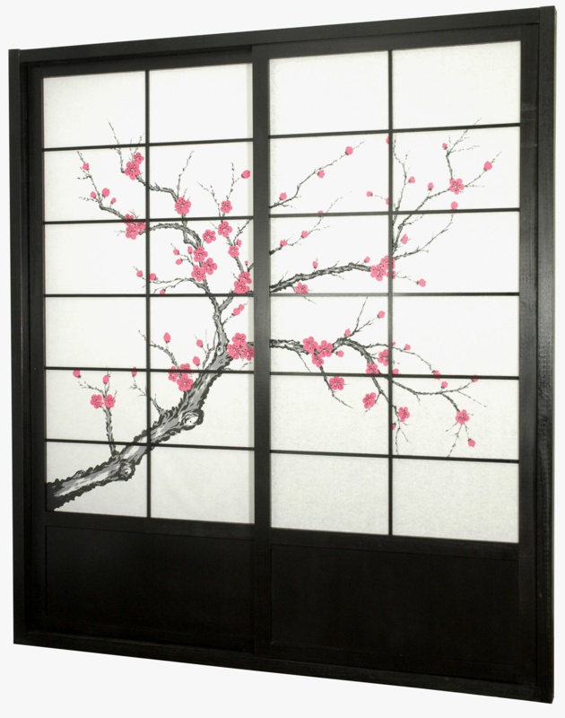 Diaan Paneled Sliding Closet Doors