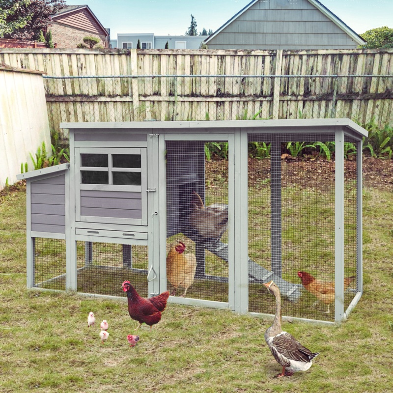 12.7 Square Feet Walk In Chicken Coop