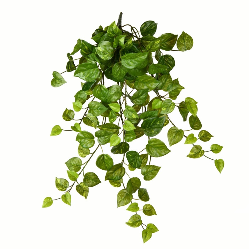 Artificial Pothos Hanging Bush