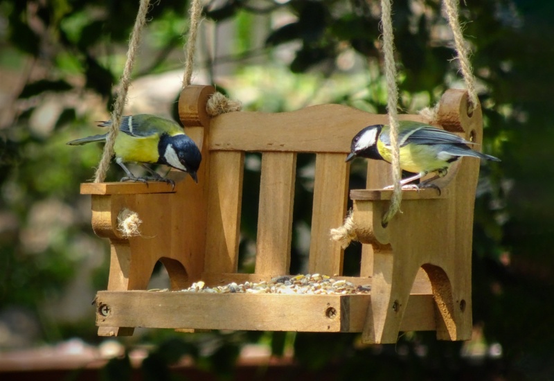 Baird Wood Hanging Tray Bird Feeder