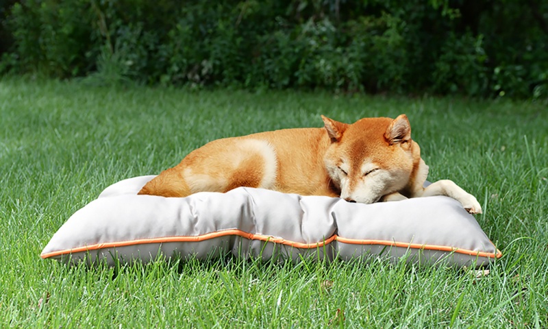 Brumfield "Go Anywhere" Water & Chew Resistant Travel Pet Bed