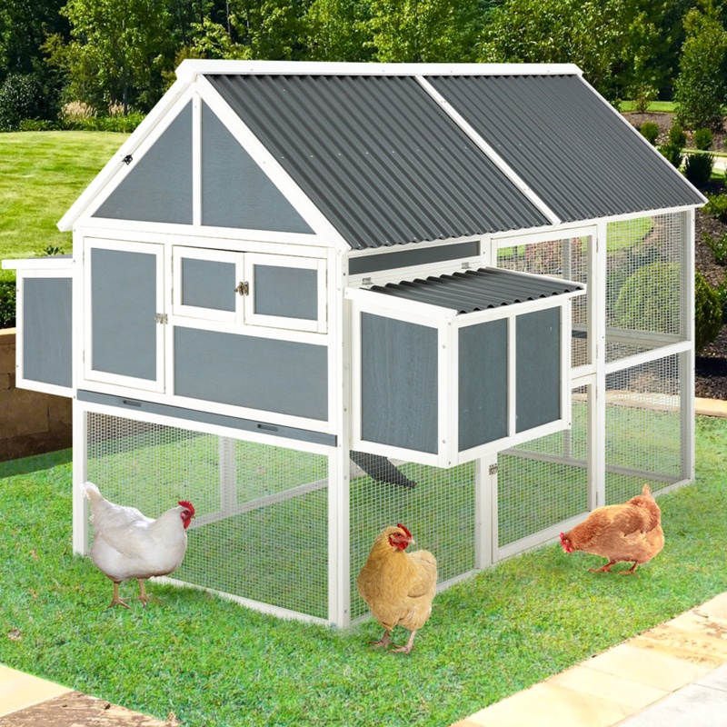 Fleetwood 40.2 Square Feet Chicken Coop with Chicken Run