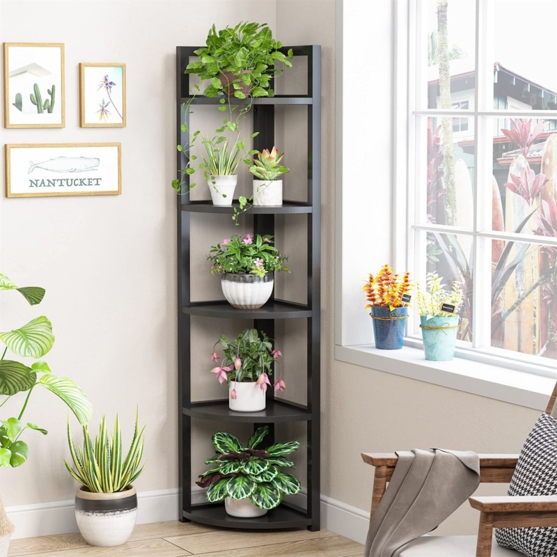 Haseltine Corner Bookcase