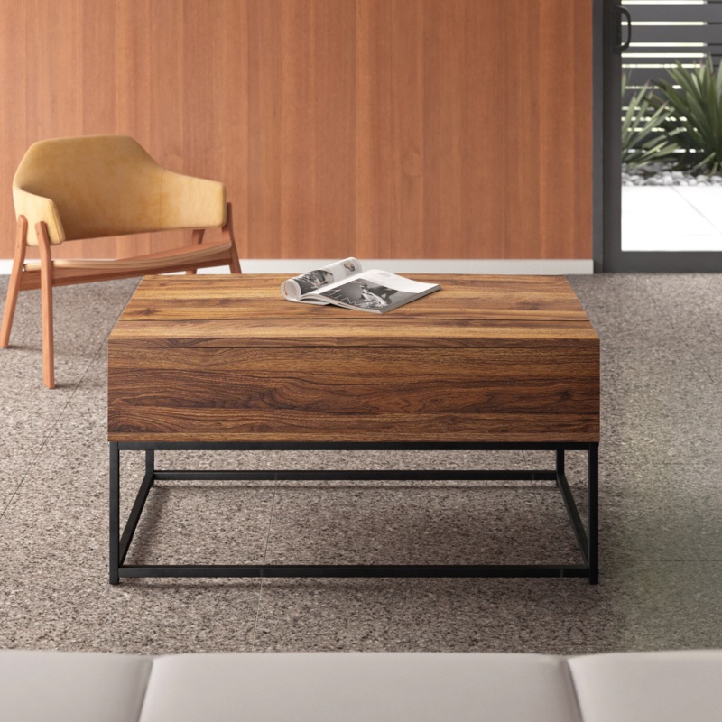 Hilyard Lift Top Coffee Table with Storage and Metal Leg