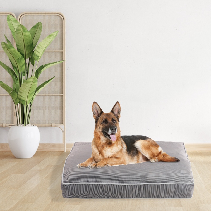 Rae Dunn "Dream" Orthopedic Travel Dog Bed