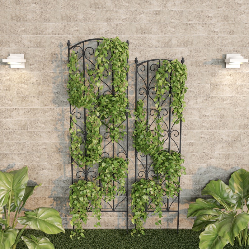 Set of 2 Garden Arch Trellis - Fencing for Climbing Vines, Roses, Potted Plants, and Flowers