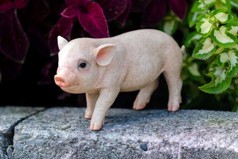 Standing Baby Pig Statue