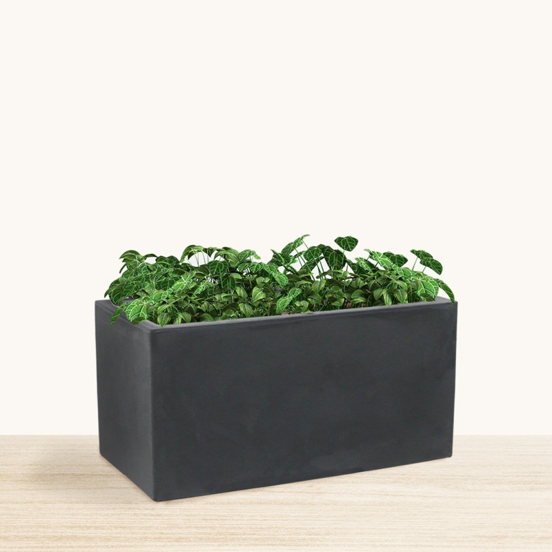 Walbert ECOBO Eco-Friendly Flower Planter Box, Bloco Indoor/Outdoor Four Season Use Marbled